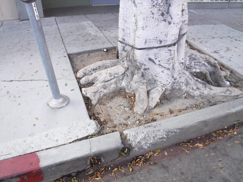 City of Beverly Hills Robertson Boulevard Sidewalk Improvements